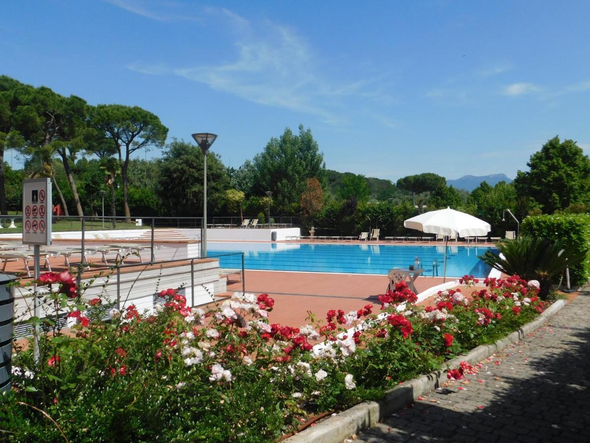 Lato Soleggiato @Gardazzurro Lejlighed Padenghe sul Garda Eksteriør billede
