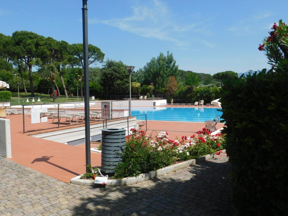 Lato Soleggiato @Gardazzurro Lejlighed Padenghe sul Garda Eksteriør billede