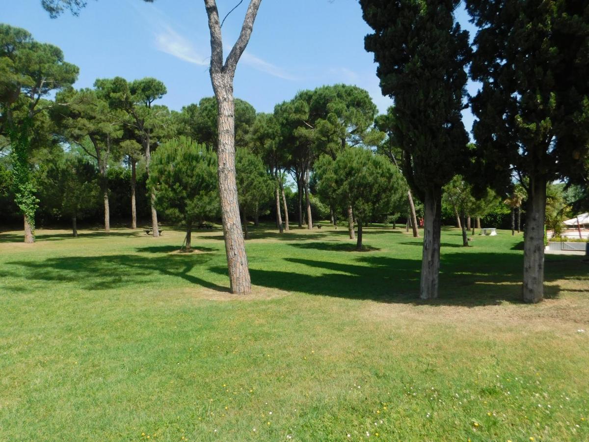 Lato Soleggiato @Gardazzurro Lejlighed Padenghe sul Garda Eksteriør billede