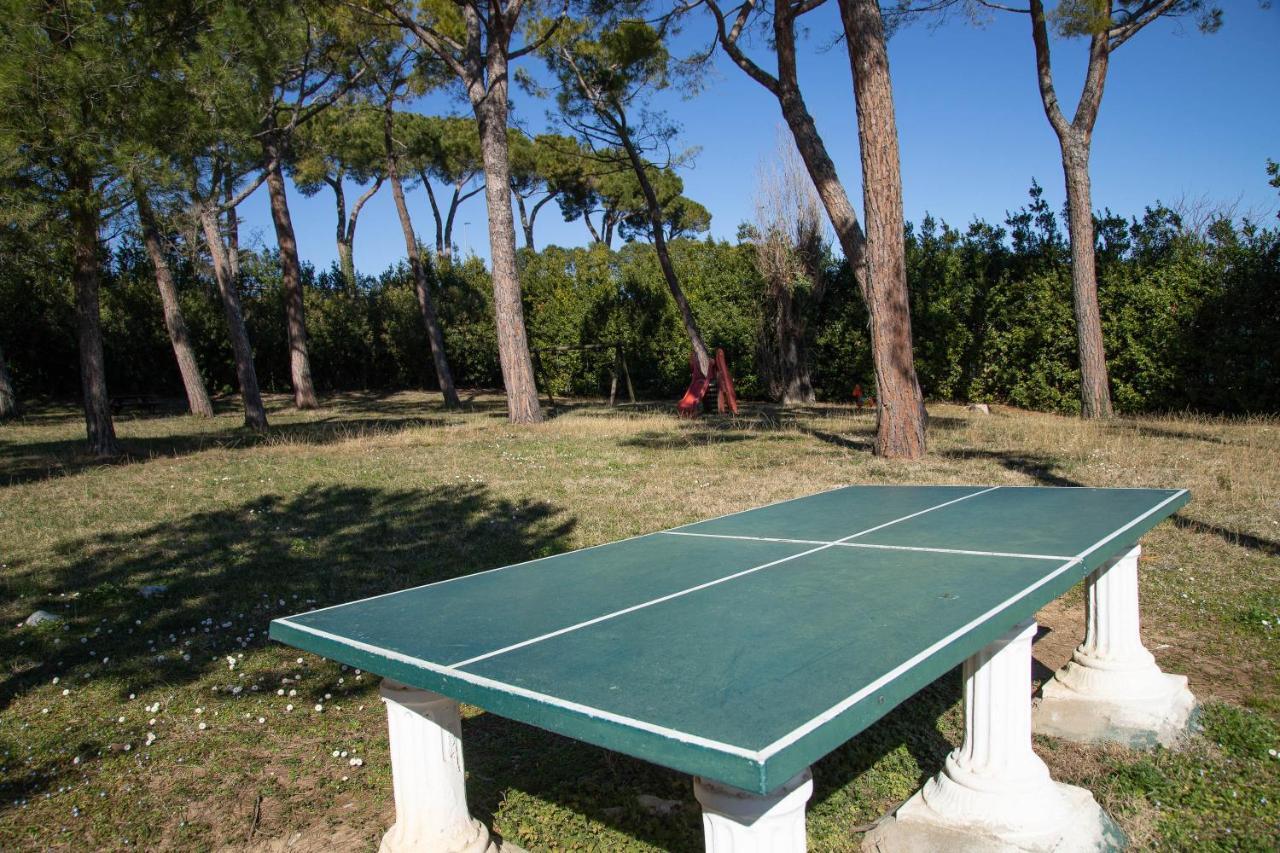 Lato Soleggiato @Gardazzurro Lejlighed Padenghe sul Garda Eksteriør billede